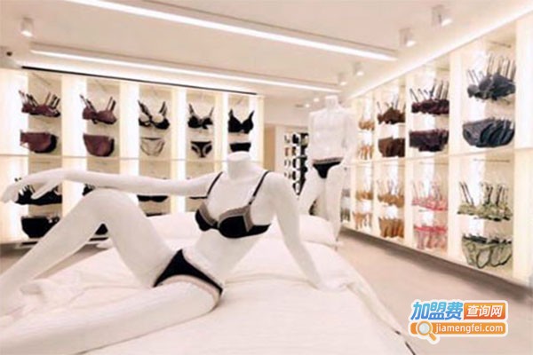 鳄鱼恤内衣加盟费