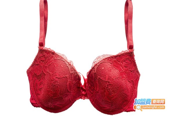 紫妮蓉内衣加盟费