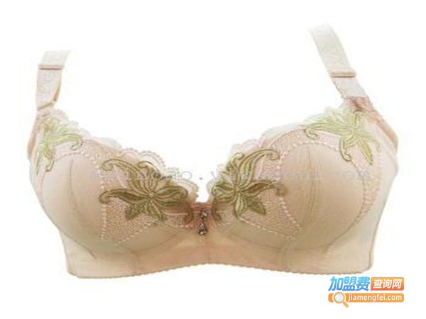 惟侬好内衣加盟门店