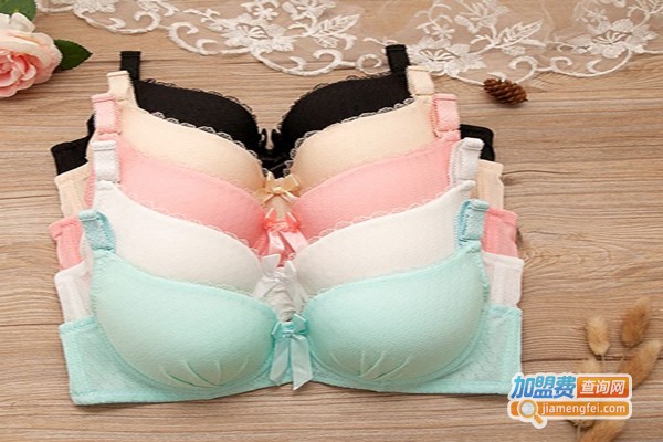 玫黛思孕妇内衣加盟费