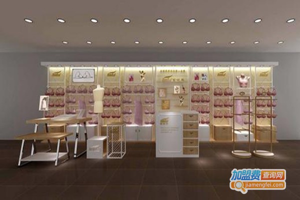 梦纤娇内衣加盟费