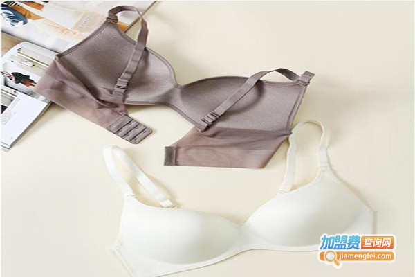 黛芙娜内衣加盟费