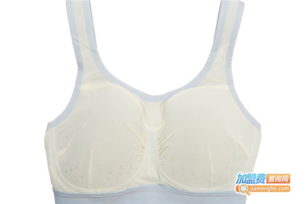 爱丝妮内衣加盟费