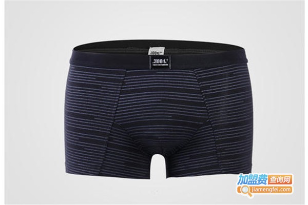 龙之杰忍者内衣加盟费