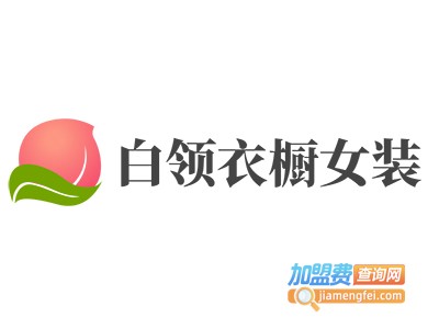白领衣橱女装加盟费