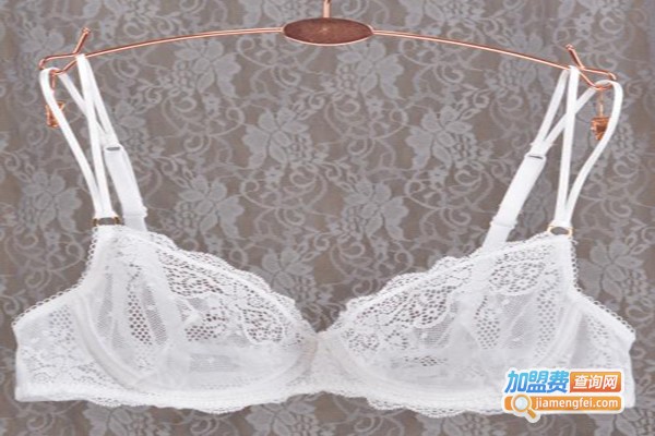 思薇尔内衣加盟费