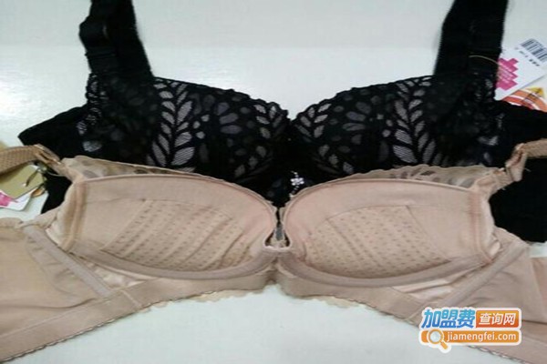 安格丽妃加盟费