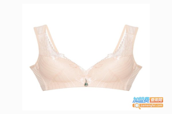 乔尔淇漫内衣加盟费