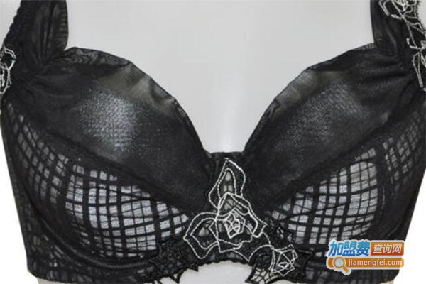 半边天内衣加盟费