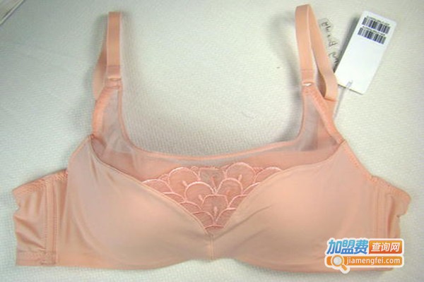 立美力内衣加盟费