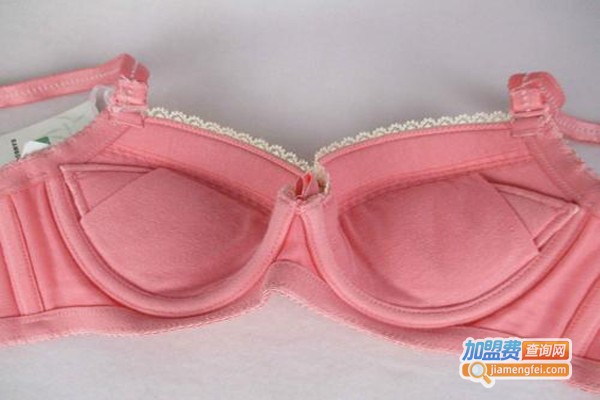 艾黛妮内衣加盟费