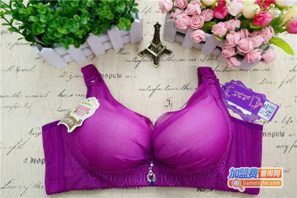 琦妮芬内衣加盟费