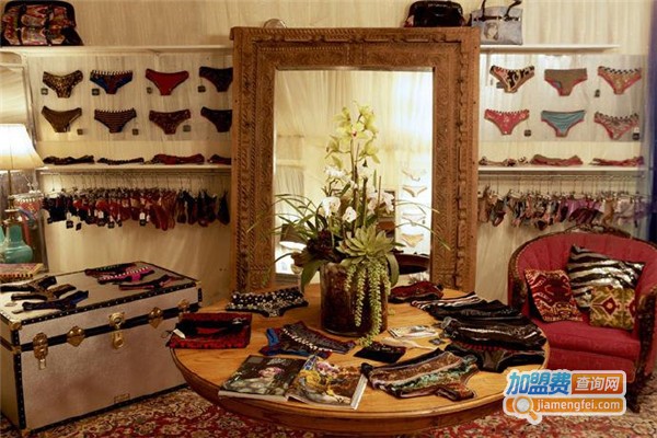 蒂颐美内衣加盟费