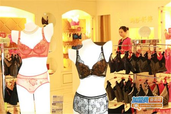 纤婷雅内衣加盟费