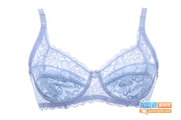 傲媚美体内衣加盟费