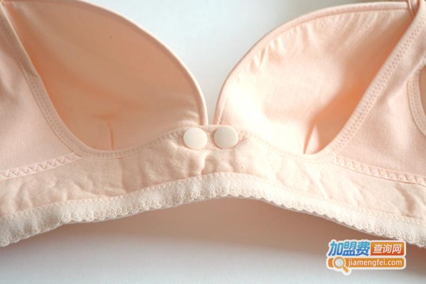 艾妮黛诗内衣加盟费