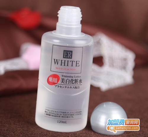 DAISO日本大创加盟费