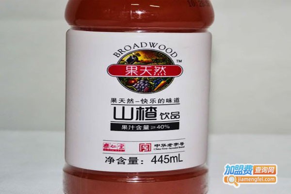 果天然山楂饮品加盟费