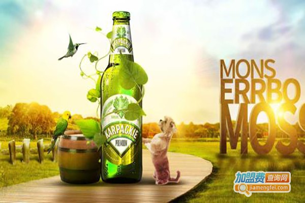 偶有脾气啤酒加盟