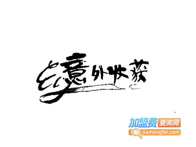 意外收获女装加盟费