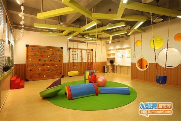 大树枝早教加盟费