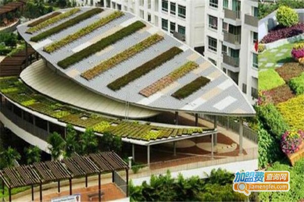 易绿谷屋顶绿化加盟费