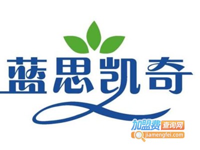 蓝思凯奇空气净化加盟费