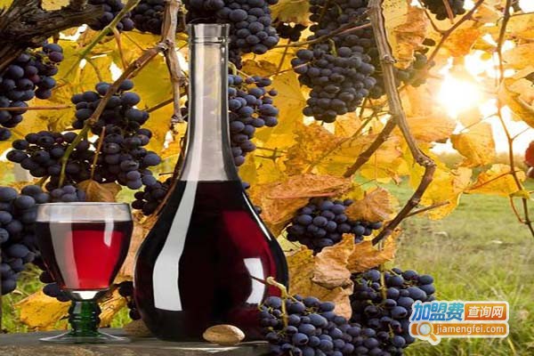 卡尼露葡萄酒加盟费