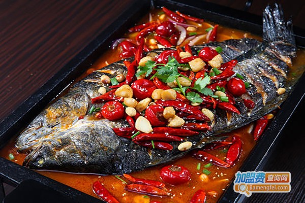 渔家鱼烤鱼加盟费