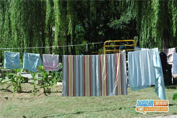 费鲁乔干洗加盟费