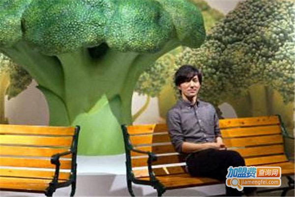 VA国际艺术教育加盟费