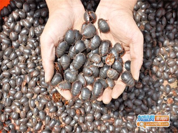 永珠金元加盟门店