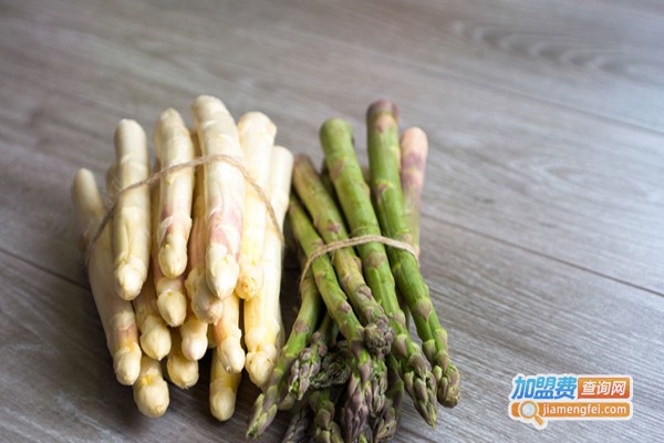 天怡铁皮石斛加盟费