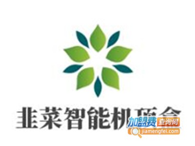 韭菜智能机顶盒加盟费