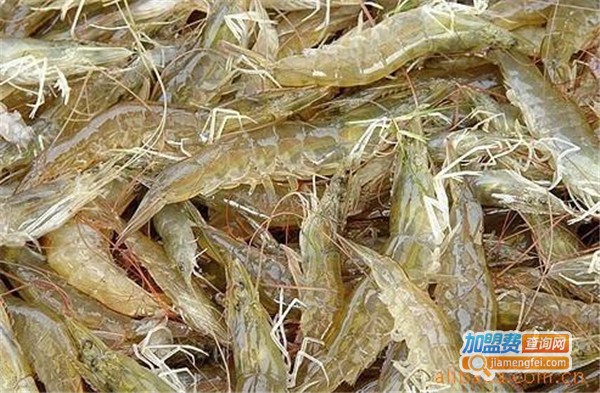壹品优南美白对虾加盟