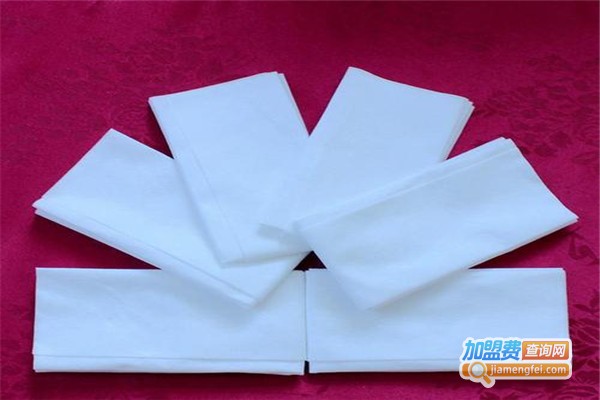 百合盛世湿巾加盟费