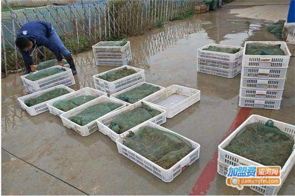 澳嘉8号加盟门店