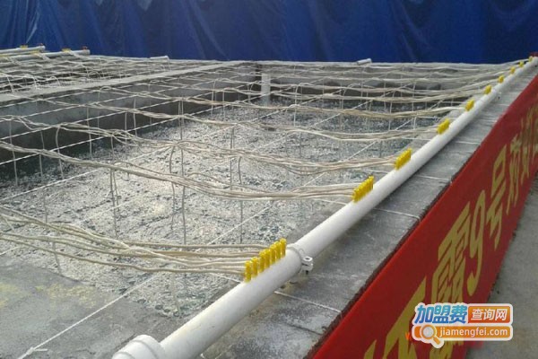 虾霸9号南美白对虾加盟