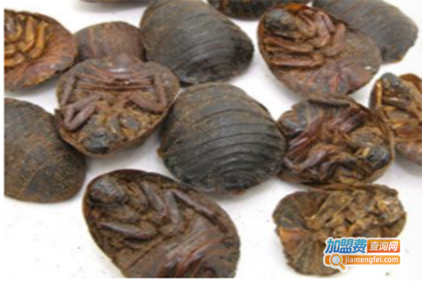 中科9号土元加盟门店