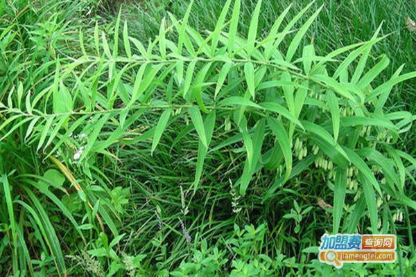 黔农晟康种植加盟费