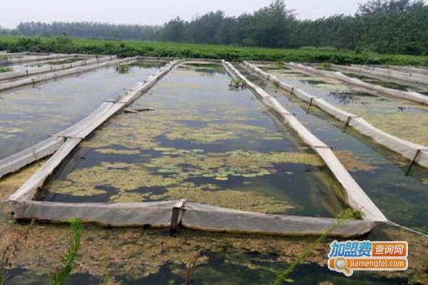 蛭农宝典养殖加盟费