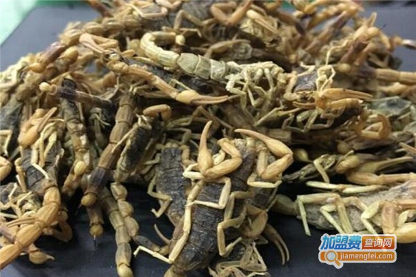 神农一号药蝎加盟费