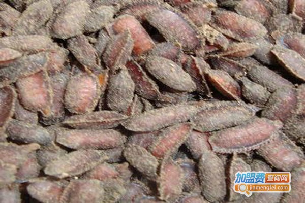 润农8号土元加盟