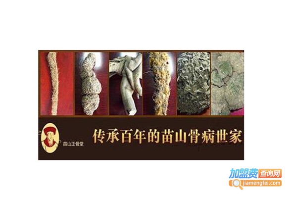 苗山正骨堂加盟费