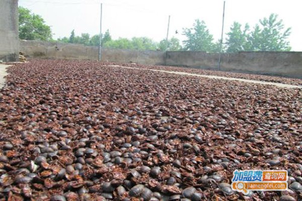 中华渝土元养殖加盟费