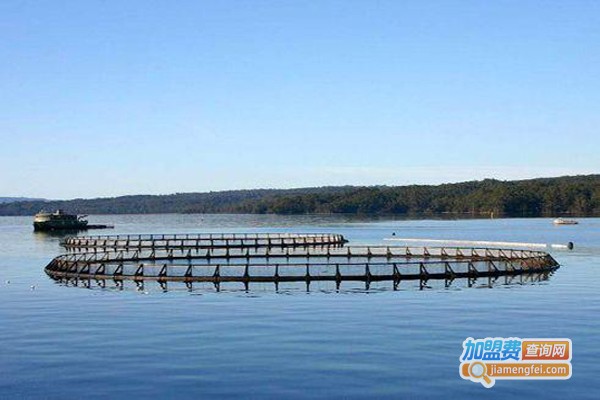 阳光养殖加盟费