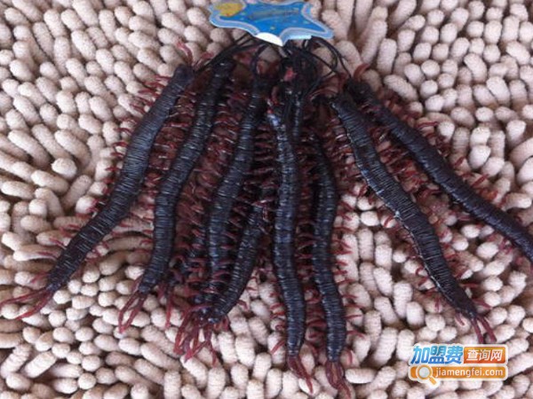 湘隆蜈蚣养殖加盟