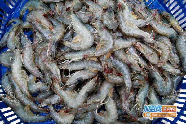 农大6号龙虾加盟