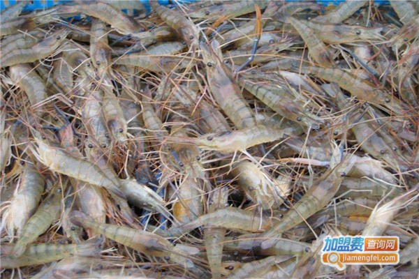 农丰虾王加盟费