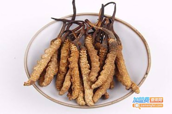 东方虫草加盟费